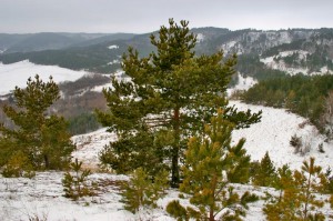 Горнолыжный курорт "хвалынск"